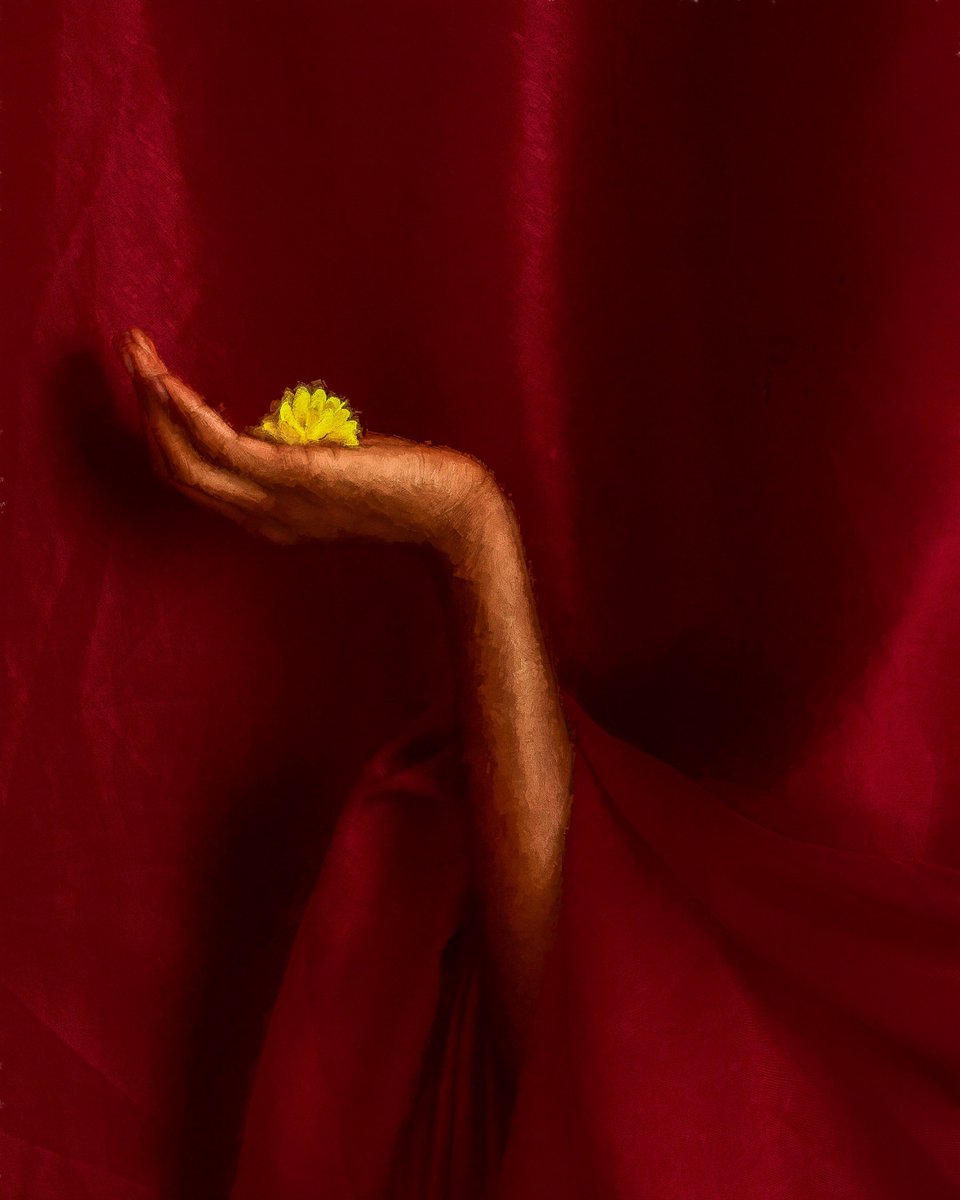 TobyDphotographer 🎨 tweet media