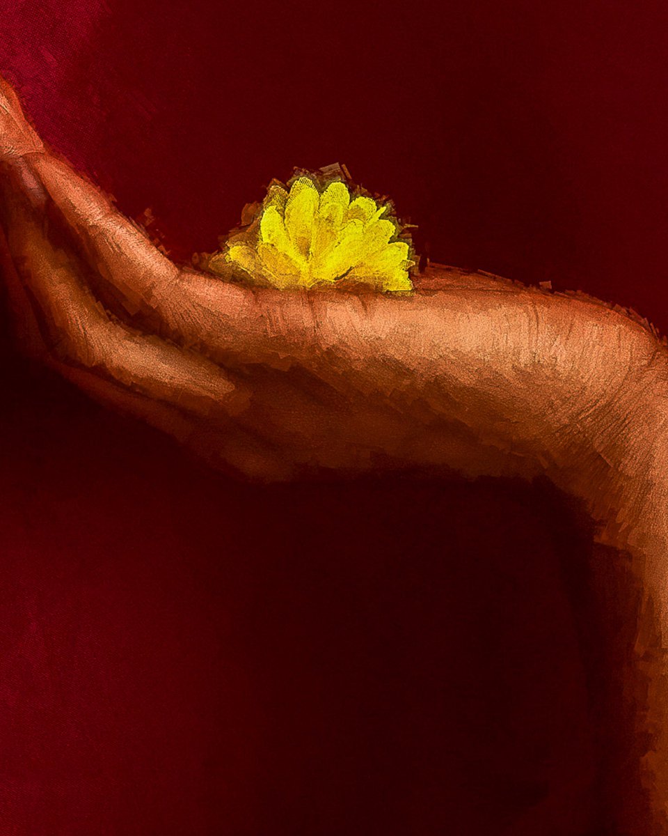 TobyDphotographer 🎨 tweet media