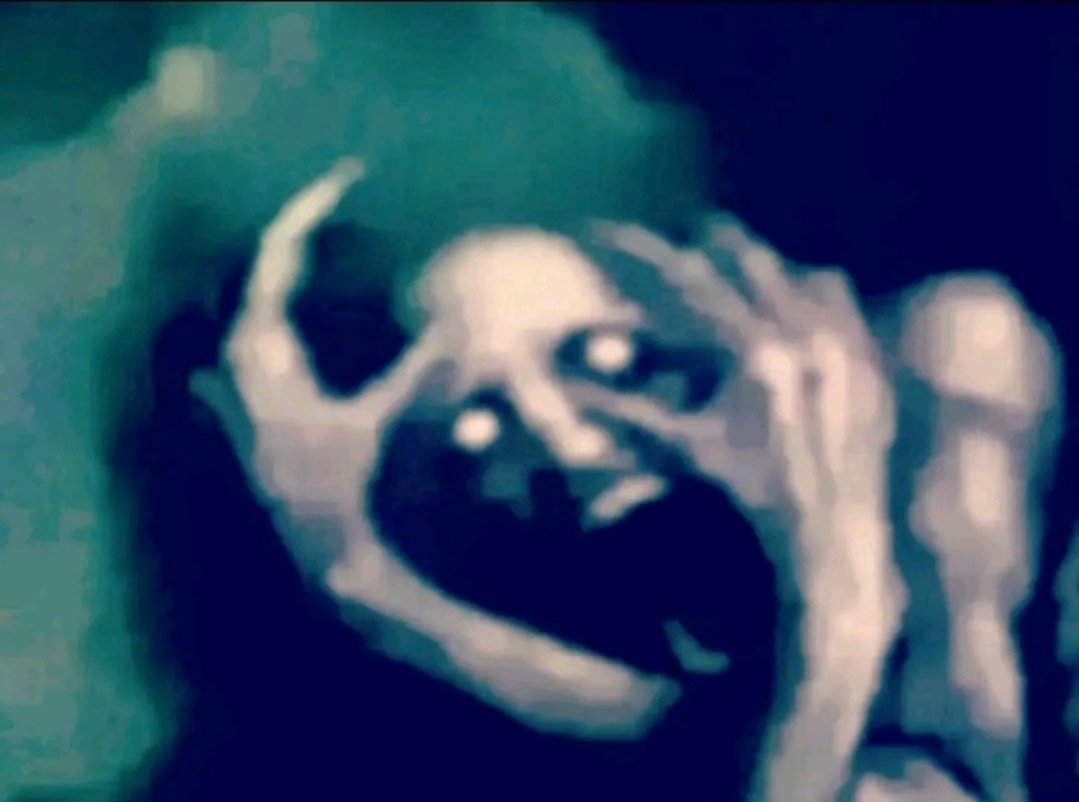 andrea ♡ tweet media