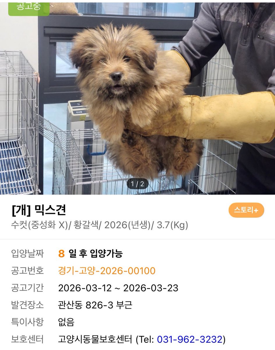 돌멩이 tweet media