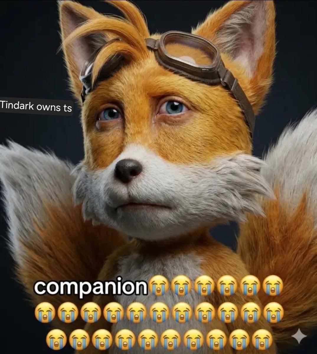 JIMOTHY!! tweet media