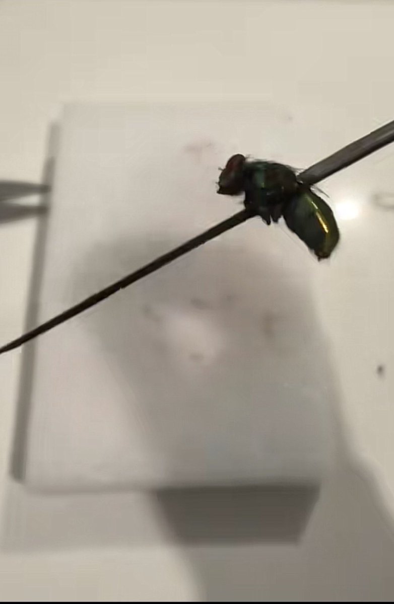 carson tk tweet media