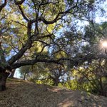 Photo by Conejo Challenge (@COSChallenge)