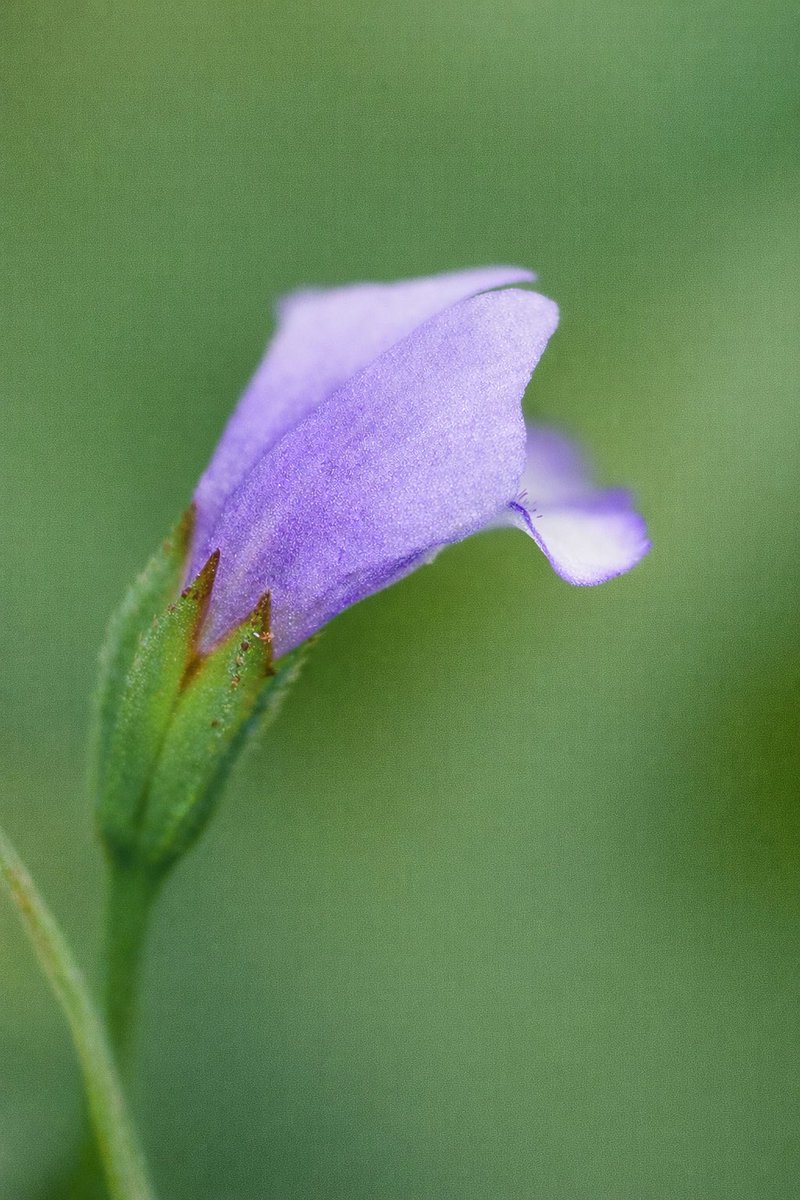 IntegralAnswers tweet media