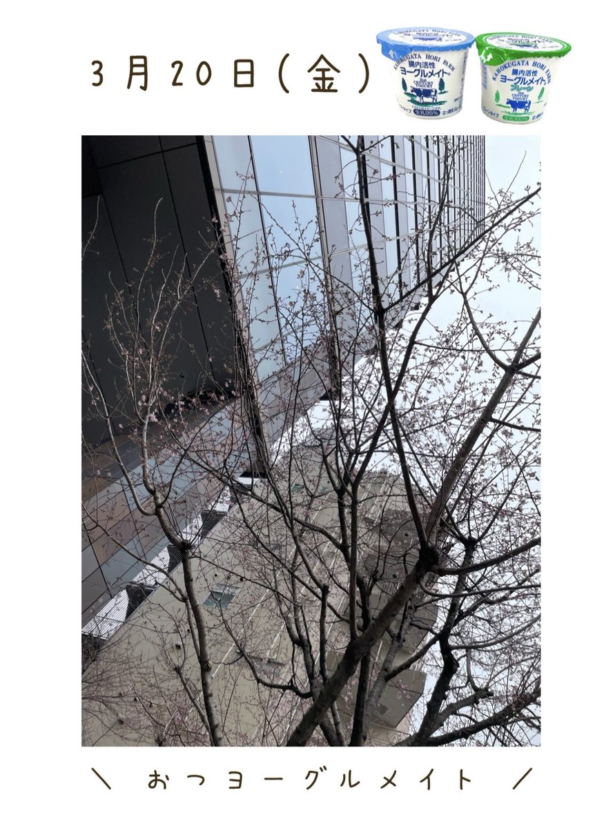 ㈱ニューミクロス 公式【腸内活性ヨーグルメイト】 tweet media