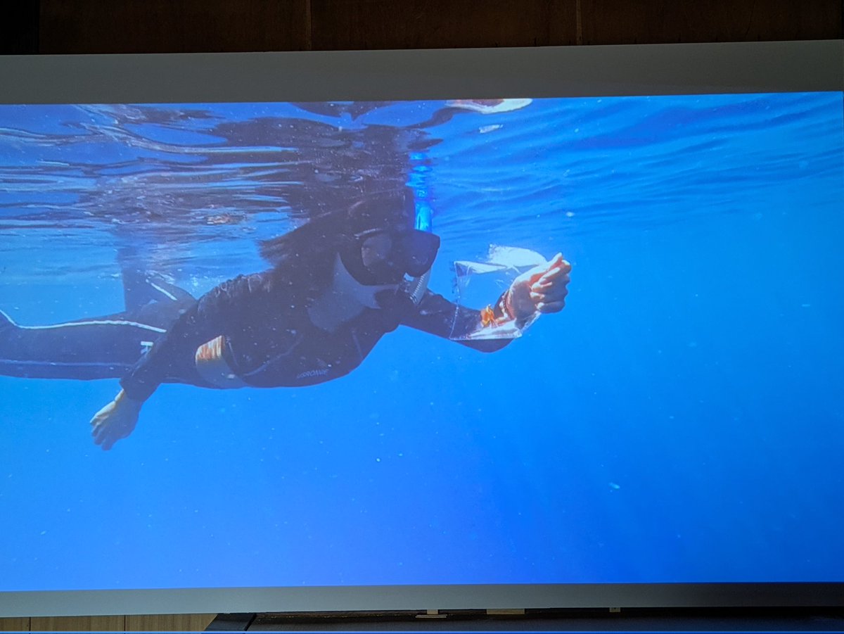 Tadashi Kaneyama tweet media