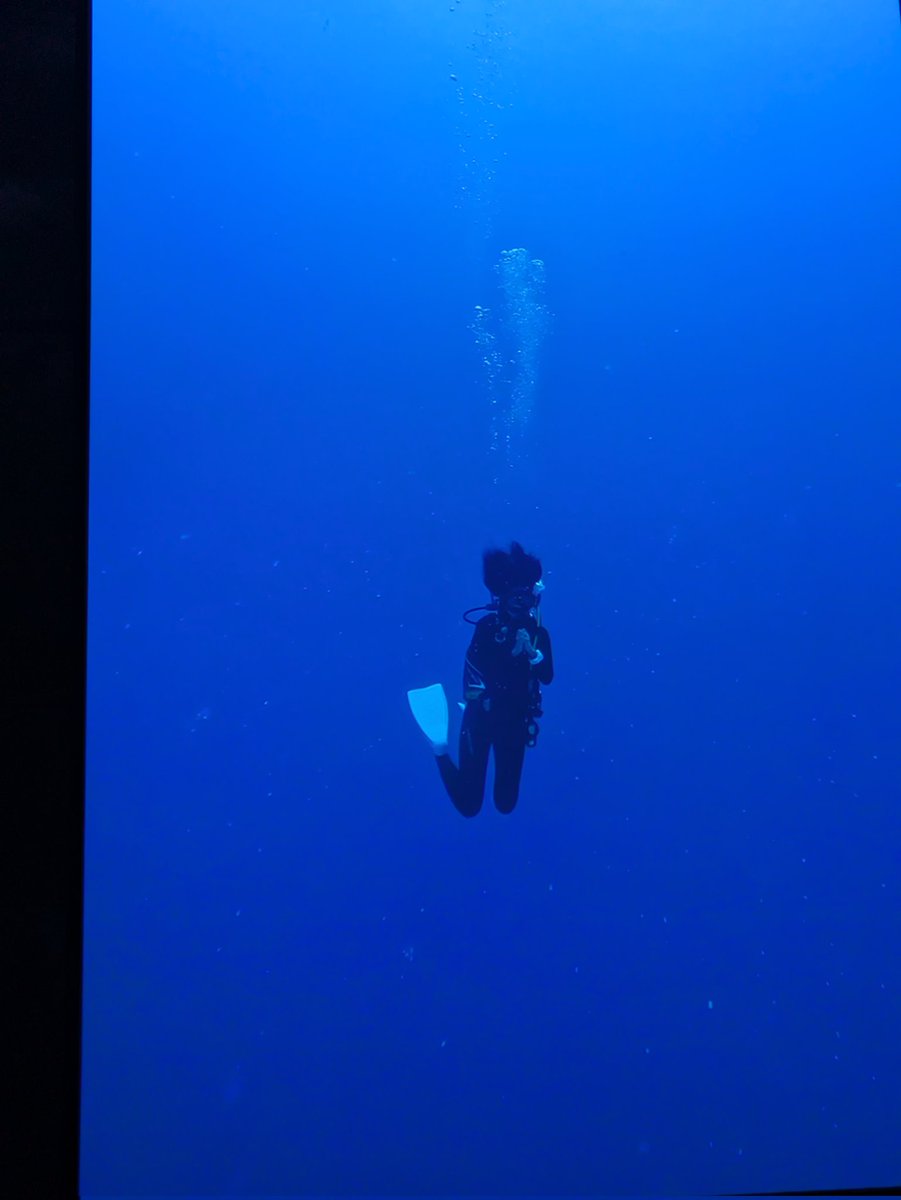 Tadashi Kaneyama tweet media