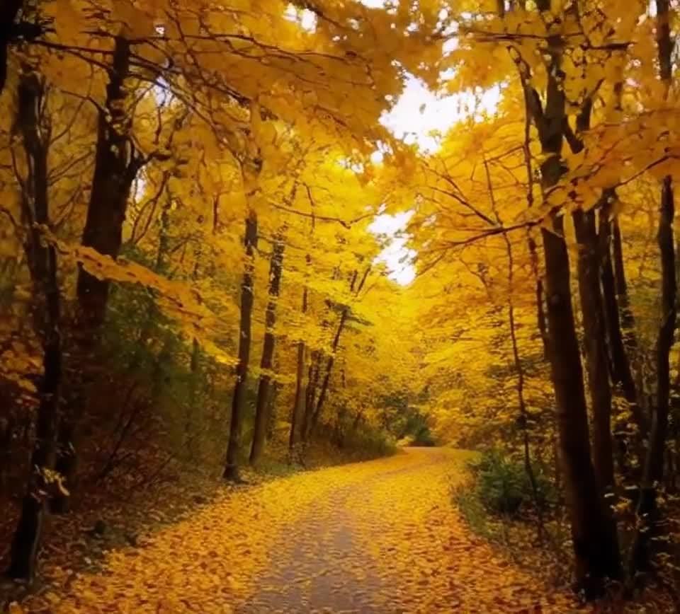 mindreader tweet media