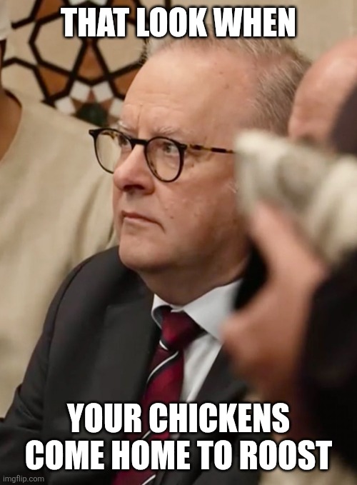 thatdamnfrog tweet media