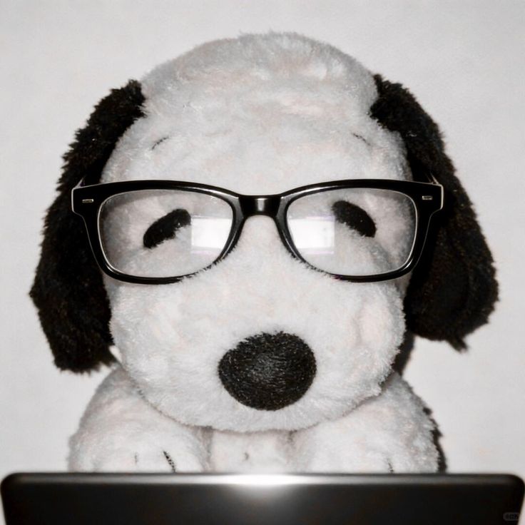 gaBi linda tweet media