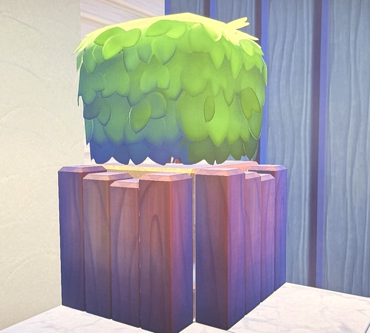 リア(\_/)ポケモン部屋の住人 tweet media