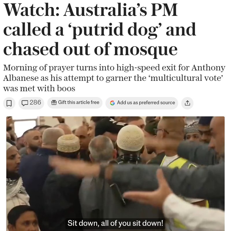 Tess Summers 🏴󠁧󠁢󠁥󠁮󠁧󠁿🇮🇪 tweet media