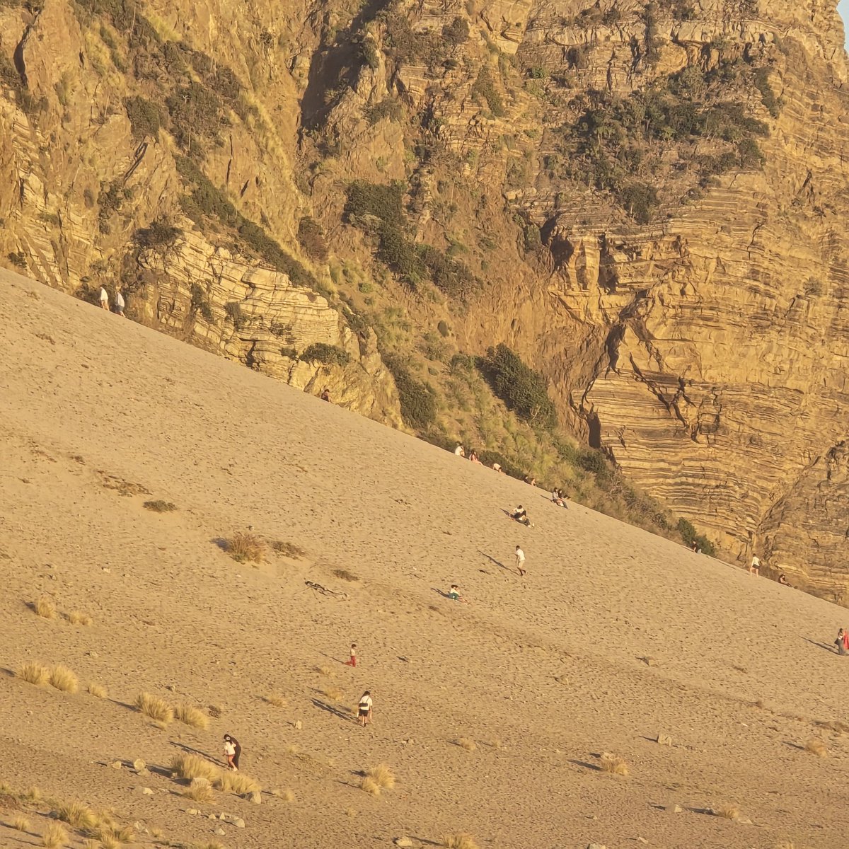 🐝 Carol Walsh ^Monterey Bay^ tweet media