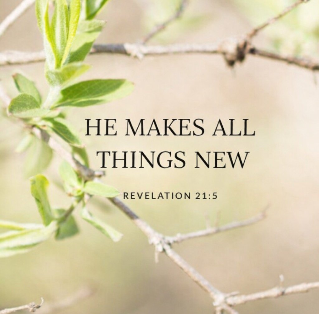 The Bible tweet media