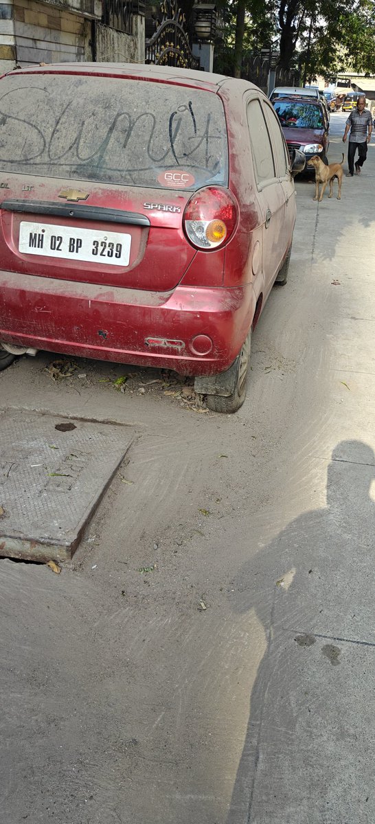 Bob the identifier tweet media