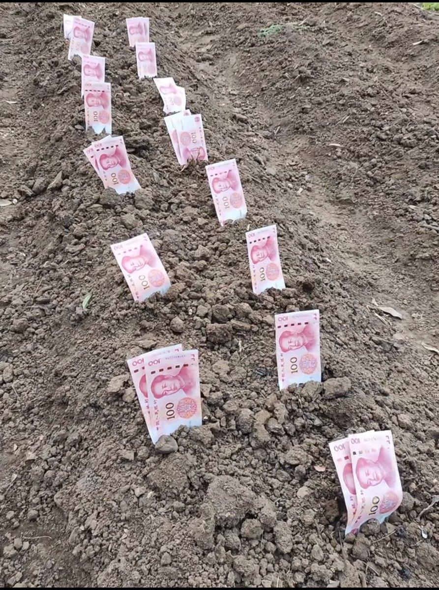 沧笙踏歌-_(互fo) tweet media