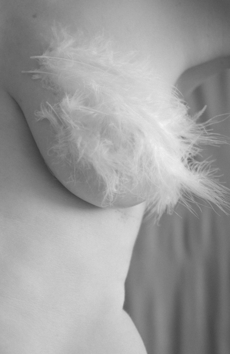 Ekaterina Sokolova tweet media