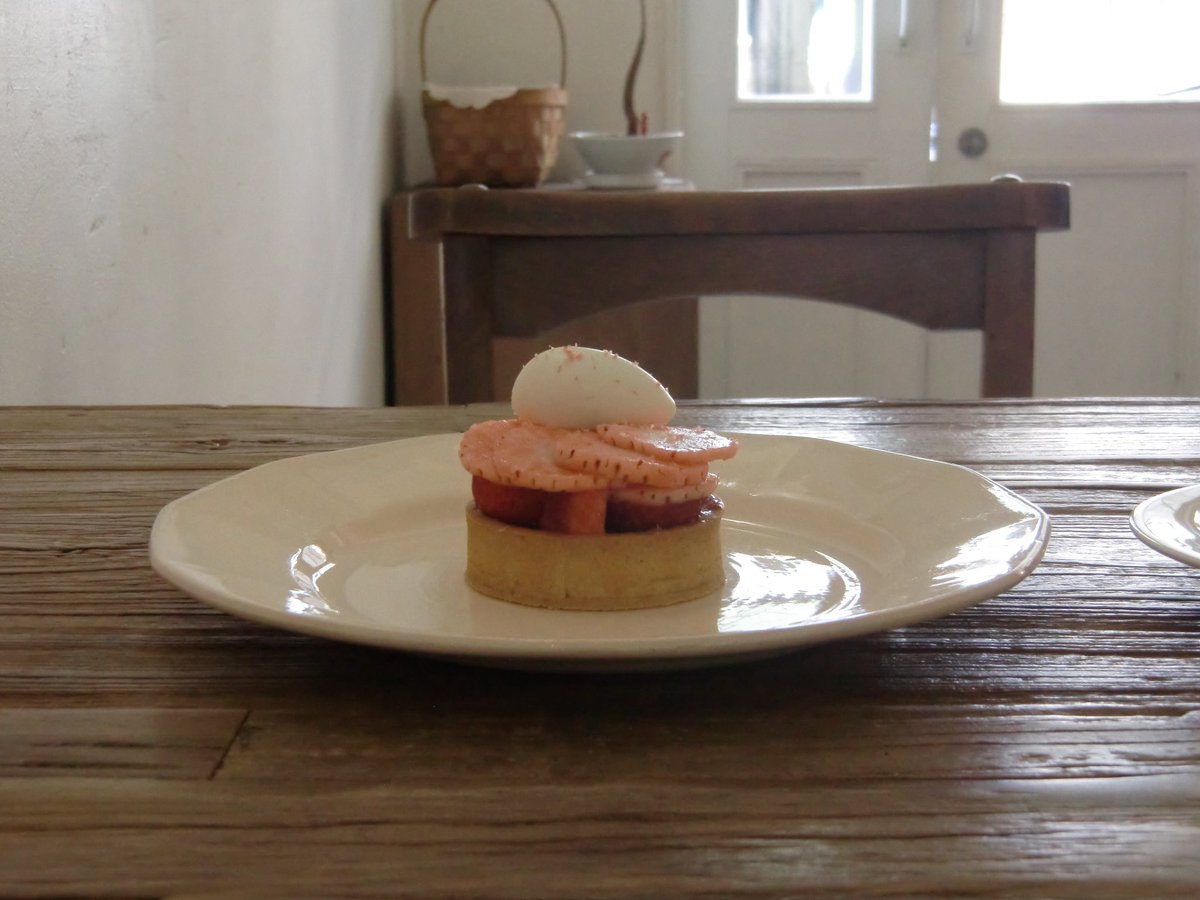 엑슬림으로 담은 봄꽃