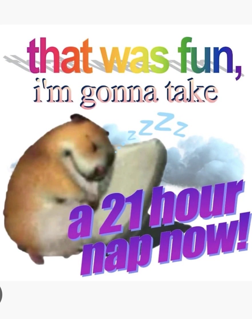 Montse 🦖 tweet media