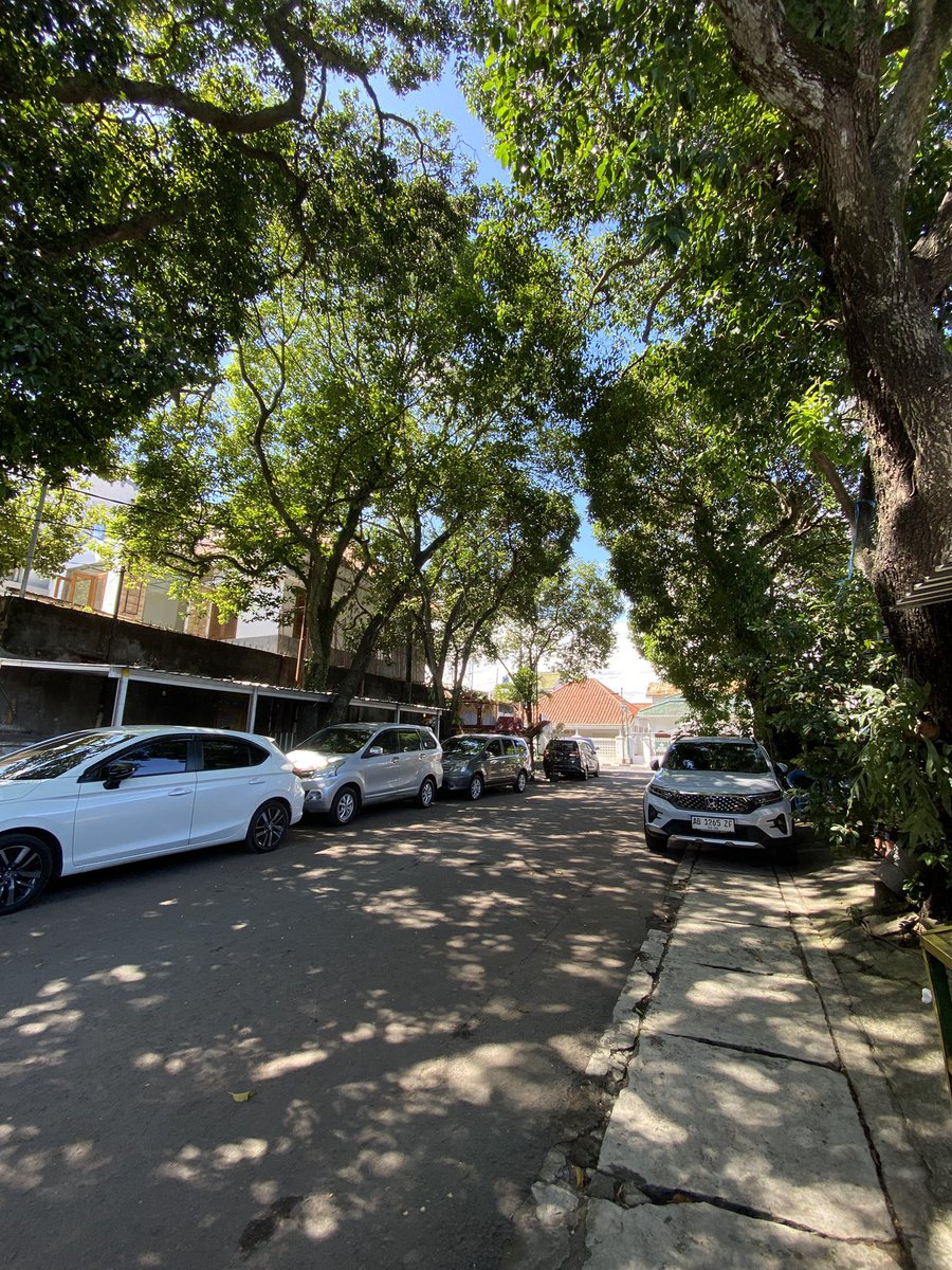 Xing Kohan tweet media