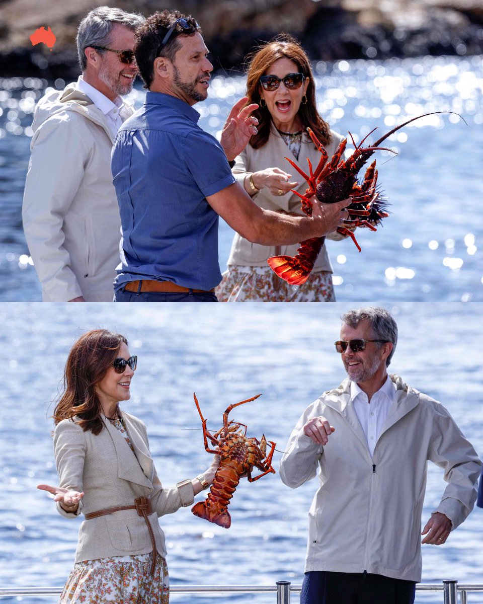 The Australian tweet media