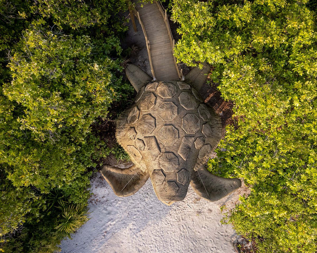 JOALI BEING tweet media