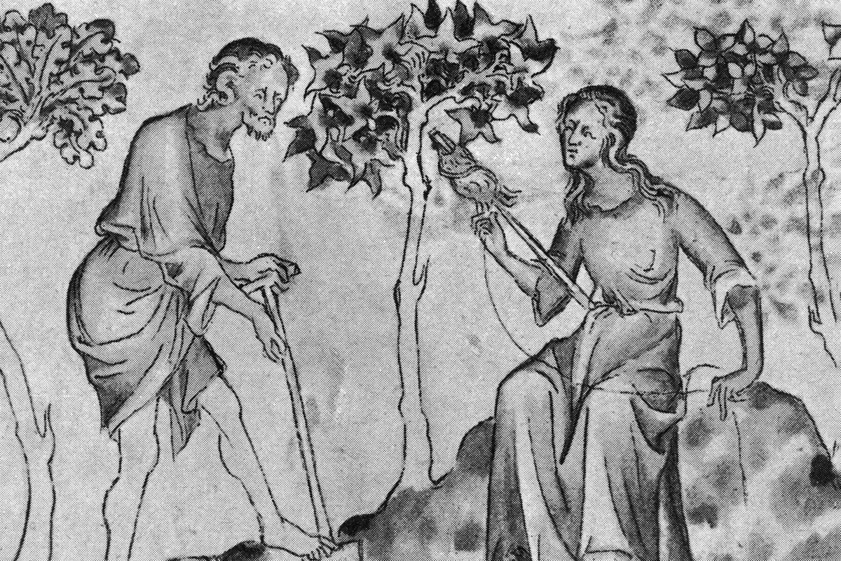 Witzshared - The Blog tweet media