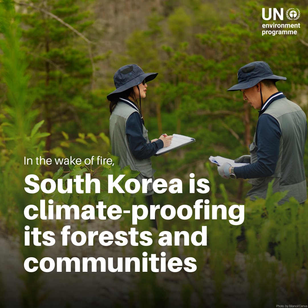 UN Environment Programme tweet media