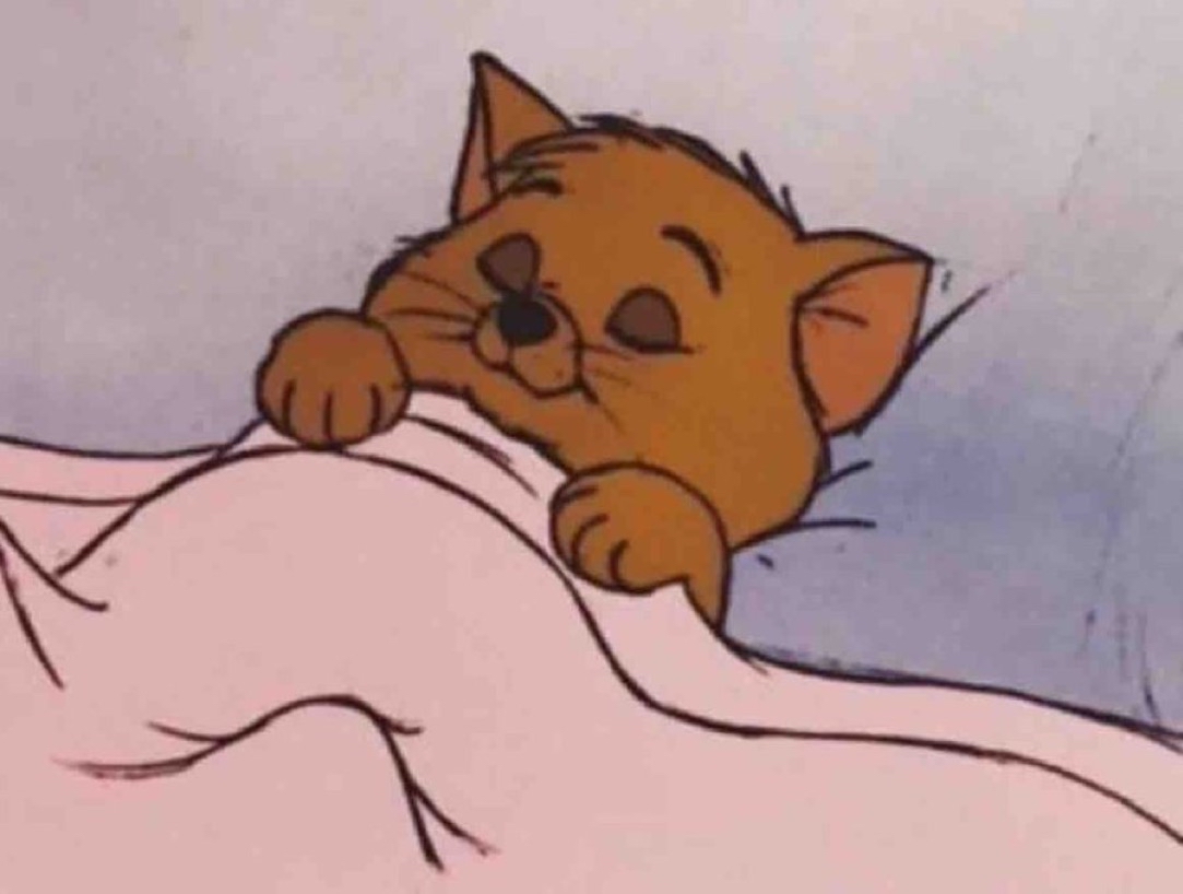 El Guarromántico tweet media