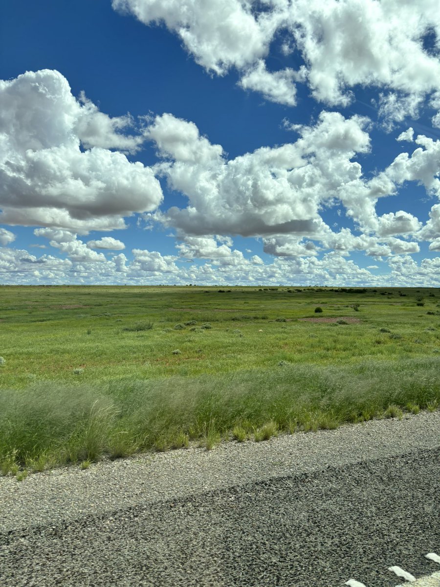 Gillian Fennell tweet media