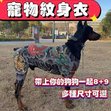 波可莉絲🎲魔術師Vtuber 一萬訂閱衝刺中！ tweet media