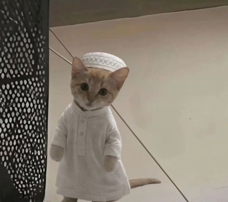 _Mr_Warda🇰🇪 tweet media