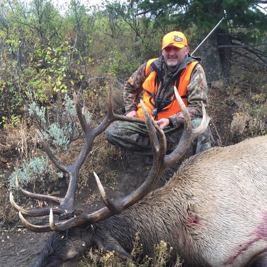 American tweet media