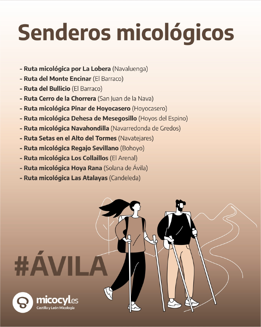 Programa Micocyl tweet media