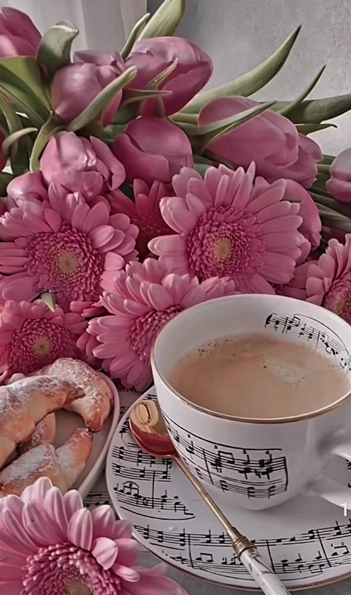 Radica Kovacevic tweet media