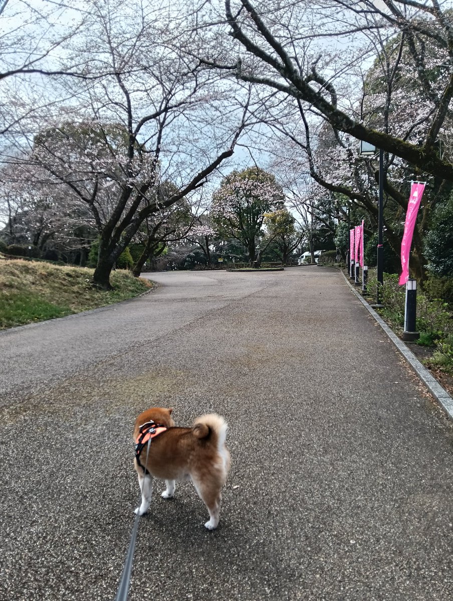こなっこ tweet media
