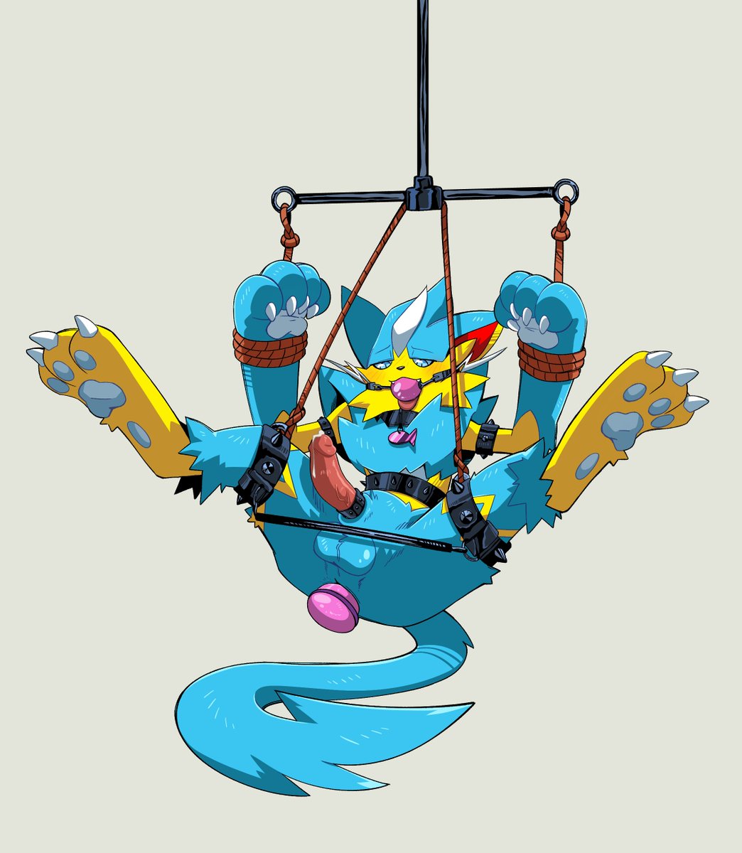 The Sleepster tweet media