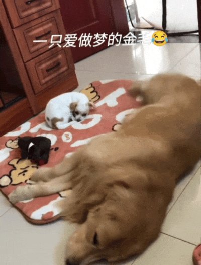 Yury Shelestovsky tweet media