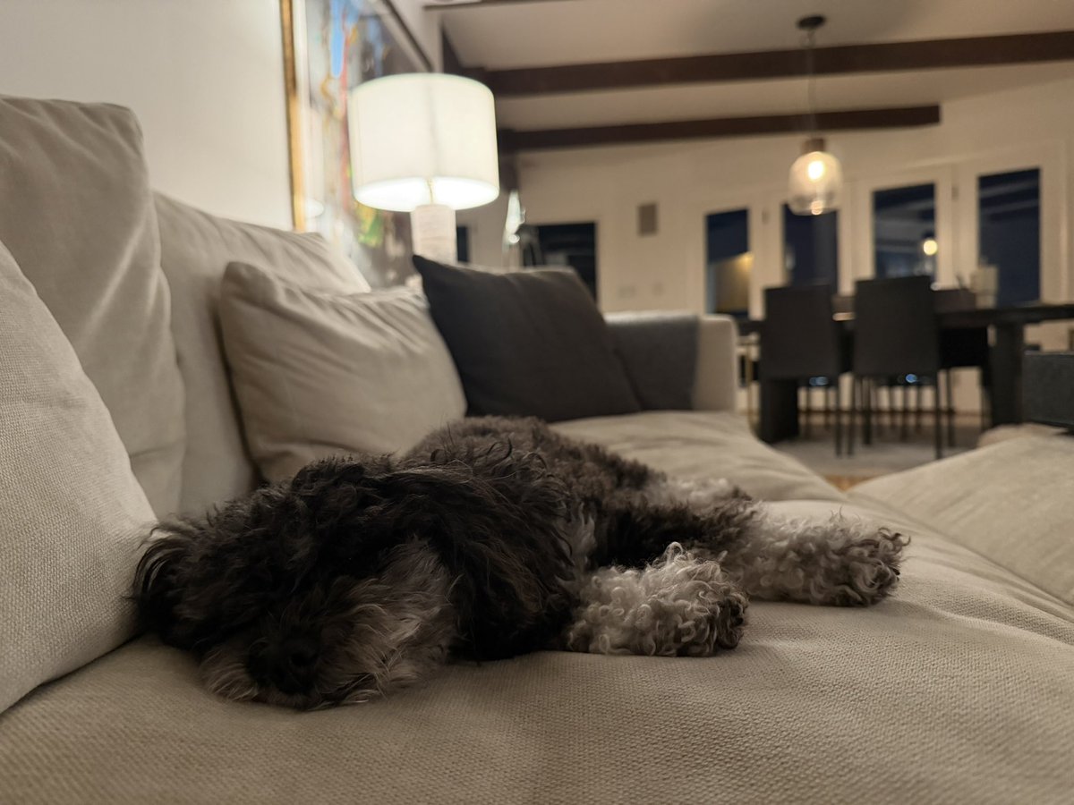 Allegra Jacchia tweet media