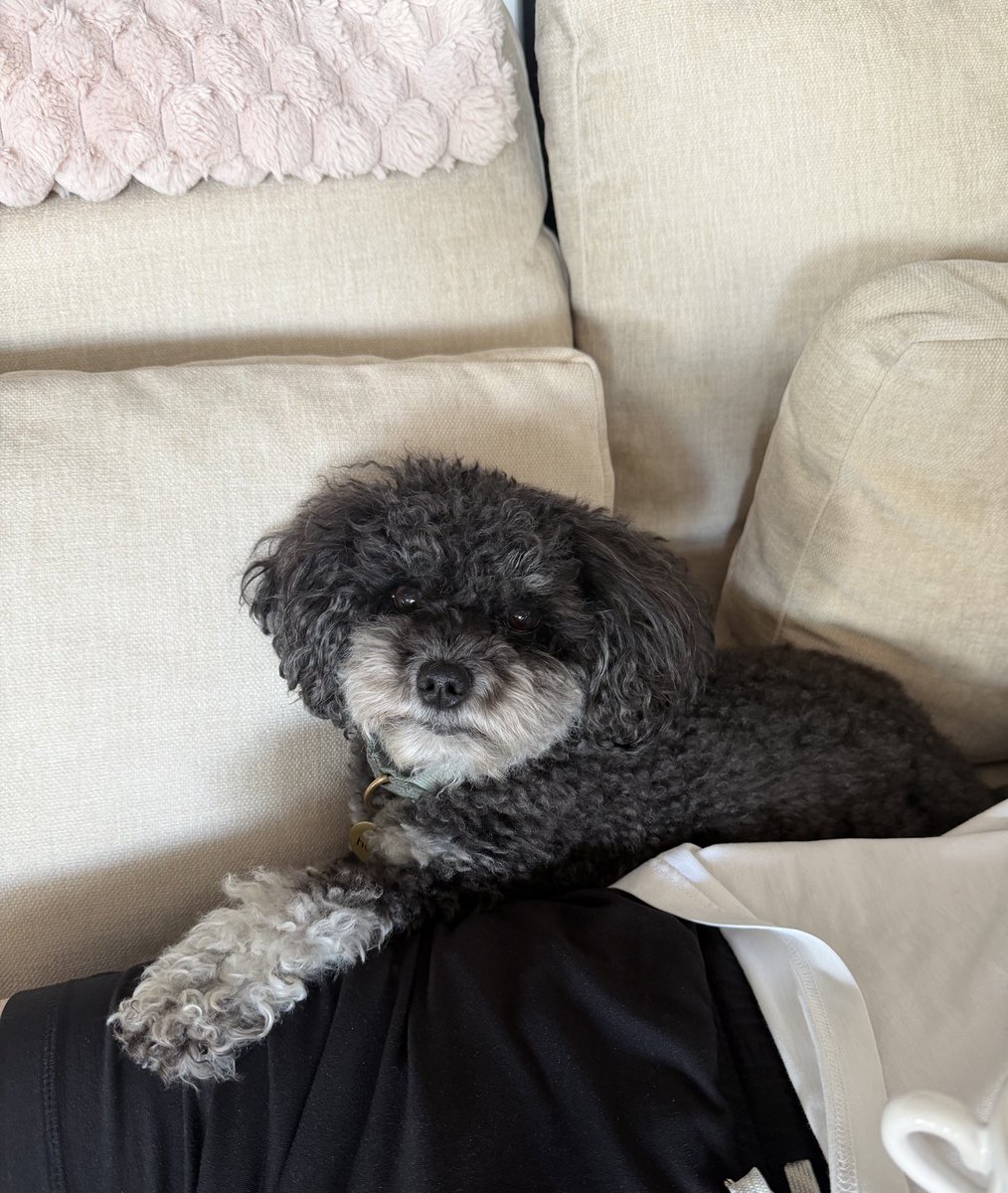 Allegra Jacchia tweet media