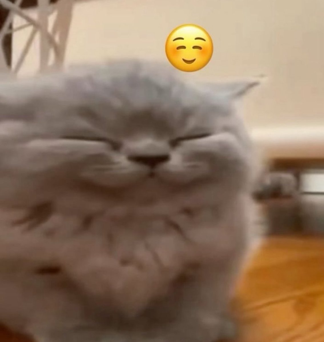 ProfitsIntern tweet media