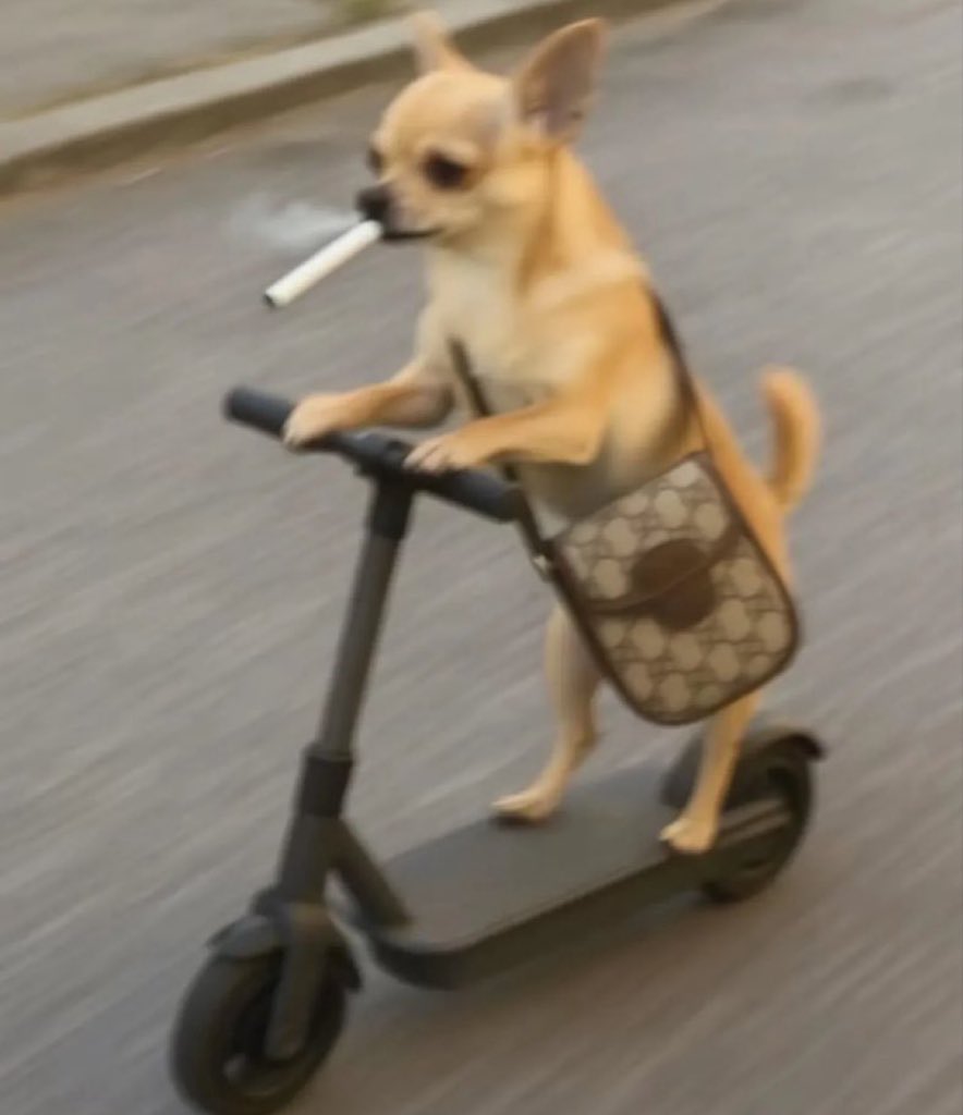 Tolu 🌟 tweet media