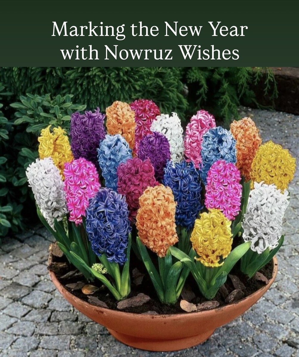 Kayhan Life tweet media