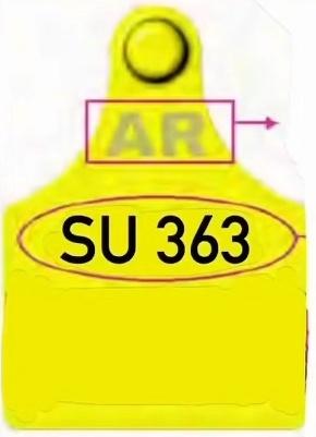 Traductor 🥹💕💐 tweet media