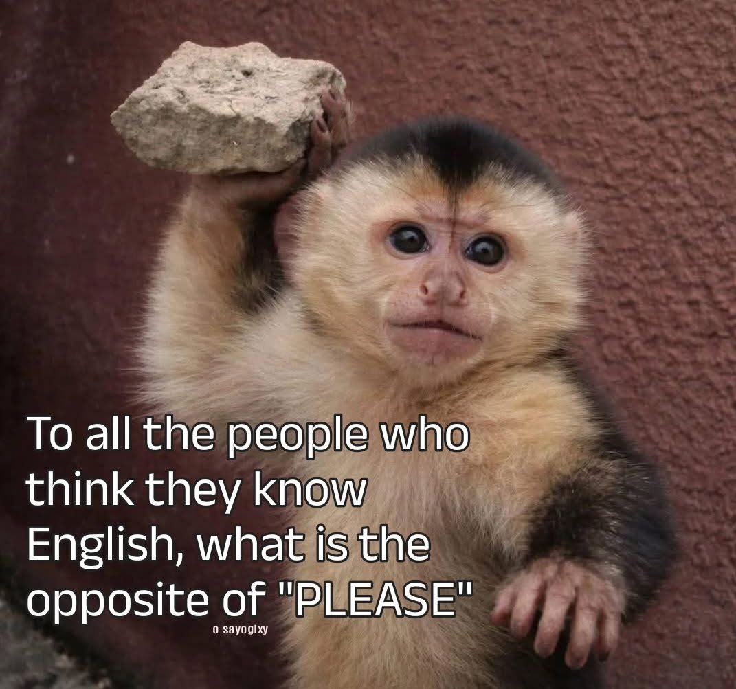 Sugar Targaryen🍉🎀 tweet media