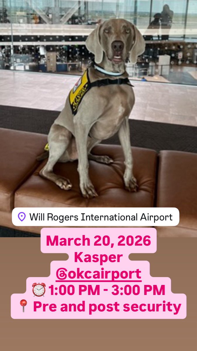 Airport Therapy Dogs tweet media