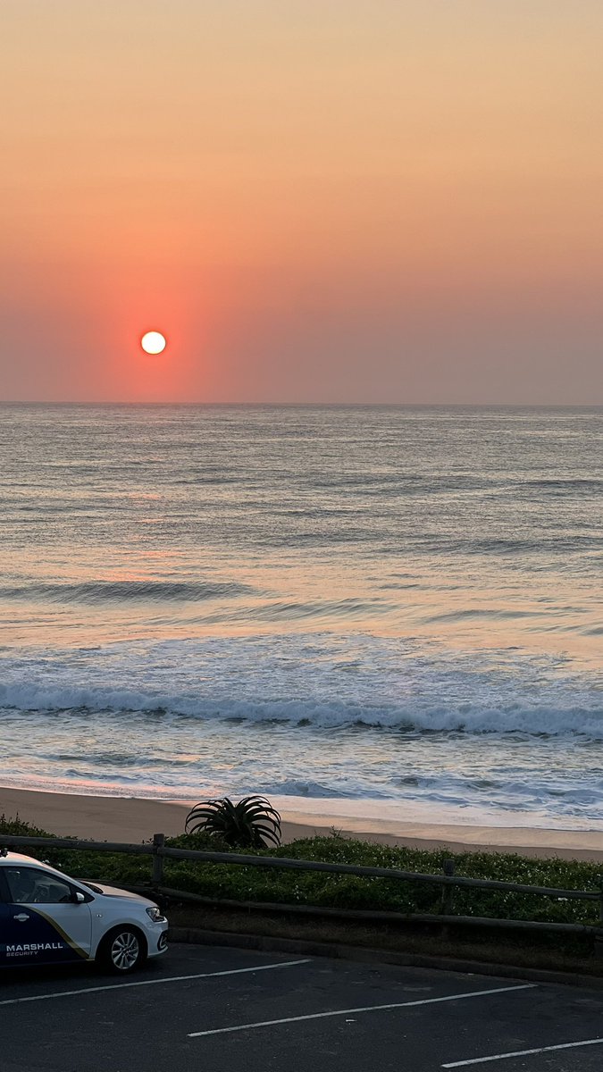 Dragonfly 🧚🏻‍♀️✨🪩💛 tweet media