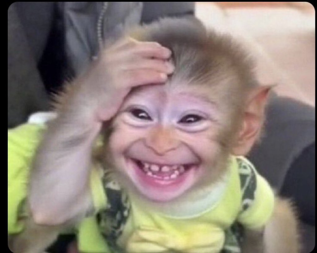 Blessing Moses, MBA tweet media