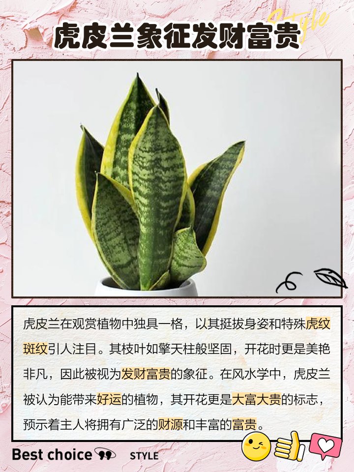 Fabio Giuntini tweet media