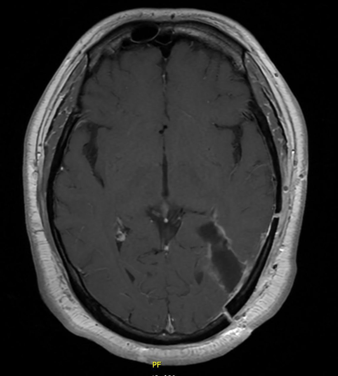 Nicolas M. 🐊 tweet media